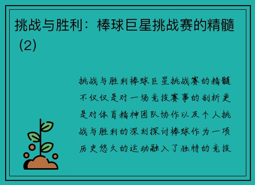 挑战与胜利：棒球巨星挑战赛的精髓 (2)